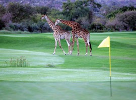 Leopardcreek Golf